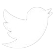 logo-twitter